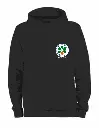 RGIPT Hoodie